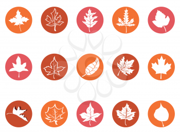 isolated maple leaf round button icons from white background