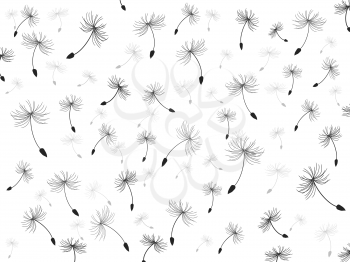 isolated seamless dandelion patterns on white background 