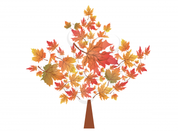 isolated autumn maple leaves symbol from white background