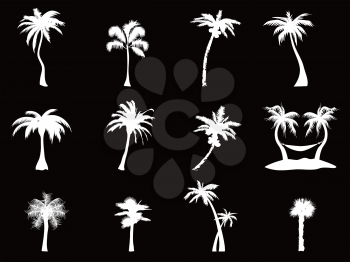 isolated white palm tree icon from black background