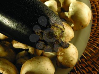 Royalty Free Photo of Mushrooms and Zucchini