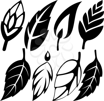 Royalty Free Clipart Image of a Leaf Set