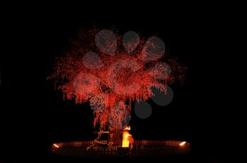 red chinese new year tree with small statue illuminated with red light