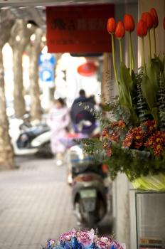 bounch of fresh flowers on shanghai  road  dof