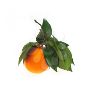 fresh orange with green leaves  isolated over white