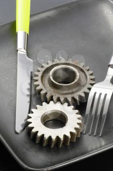 gearwheels on a black plate with knife and fork