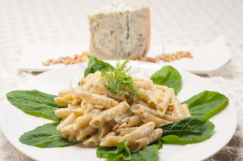 Italian traditional pasta penne gorgonzola and pine nuts