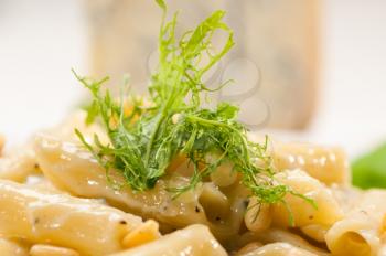 Italian traditional pasta penne gorgonzola and pine nuts