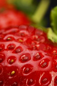 fresh vivid colored strawberry over black background