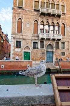  unusual pittoresque view of Venice Italy most touristic place in the world