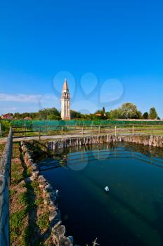 Venice Burano Mazorbo vineyard with campanile  belltower of Saint Caterina on the background