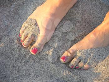 Royalty Free Photo of a Woman's Toes in the Sand