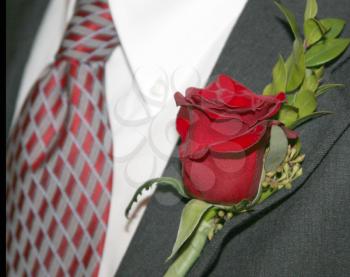 Royalty Free Photo of a Single Rose Boutonniere