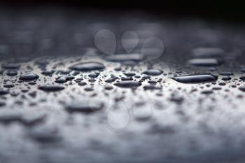 Royalty Free Photo of Water Drops
