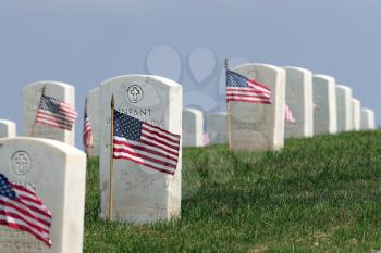 Royalty Free Photo of Grave Markers With Flags On Memorial Day