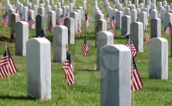 Royalty Free Photo of Grave Markers With Flags On Memorial Day