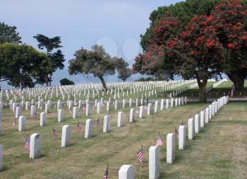 Royalty Free Photo of Gravestones at a National Cemetery