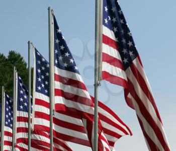 Royalty Free Photo of Several American Flags