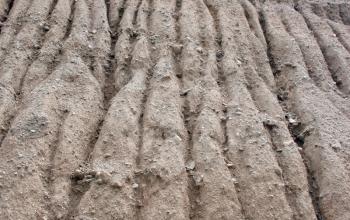 Royalty Free Photo of a Hillside Eroding From Heavy Rains