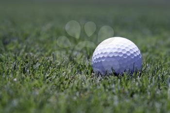 Royalty Free Photo of a Golf Ball