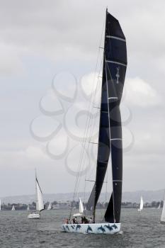Royalty Free Photo of the America's Cup Sailboat Abracadabra