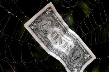Royalty Free Photo of a Dollar Bill in a Web