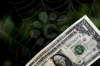 Royalty Free Photo of a Dollar Bill in a Web