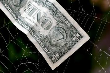Royalty Free Photo of a Dollar Bill in a Cobweb