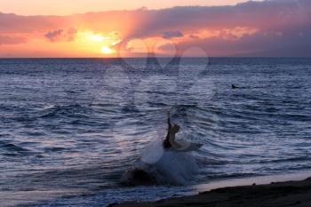 Royalty Free Photo of a Person Surfing at Sunset