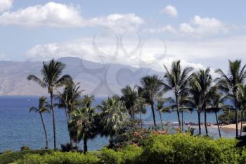 Royalty Free Photo of a View from a Resort in Hawaii