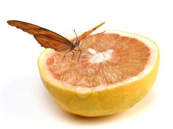 Royalty Free Photo of a Butterfly on a Grapefruit