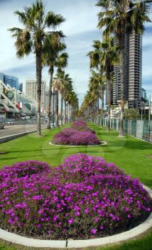 Royalty Free Photo of the San Diego Gaslamp and Convention Center Area