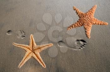 Royalty Free Photo of Starfish and Footprints on Sand
