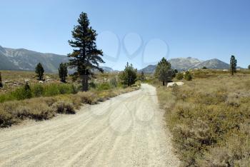 Royalty Free Photo of a Road in High Sierra, California 