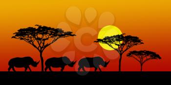 Royalty Free Photo of Rhinos at Sunset