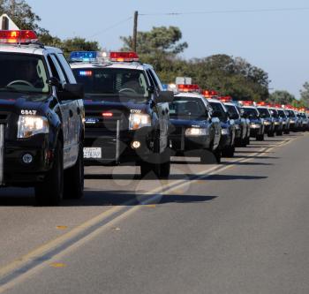 Royalty Free Photo of a Row of Police Cars