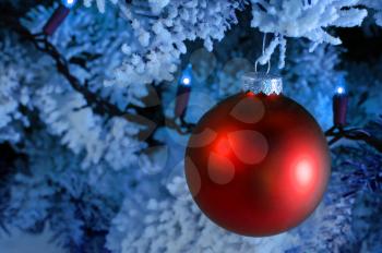 Royalty Free Photo of a Christmas Tree and Ornament