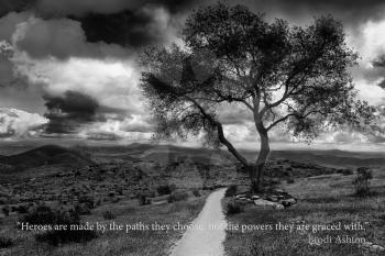 Royalty Free Photo of a Tree and Lane With an Inspirational Quote