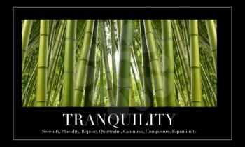 Royalty Free Photo of Bamboo and the Word Tranquility