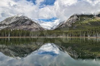 Reflective Buller Pond in the Canadian Rockies, Alberta, Canada.
