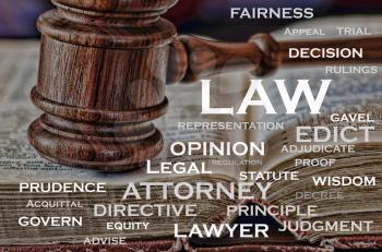 A wooden judge's gavel and words that describe the legal business.