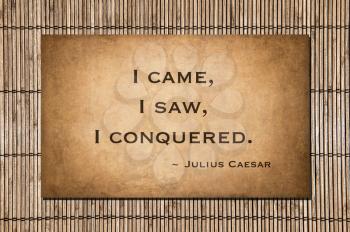 I came, I saw, I conquered. ~ Julius Caesar