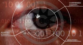 Human eye with computer data. Biometric scanning of networks and firewalls enabled.