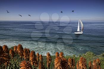 Royalty Free Photo of a San Diego coastline with sailboat
