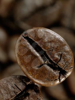 Royalty Free Clipart Image of a Coffee Bean