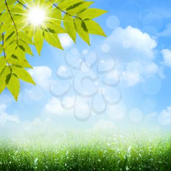 Under the blue skies. Abstract spring and summer backgrounds