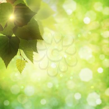 Sweet summer morning. Abstract natural backgrounds