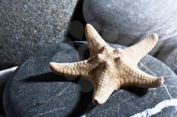 Starfish. Abstract summer backgrounds with star fish and pebble