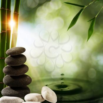 Abstract eco backgrounds with bamboo and water splash