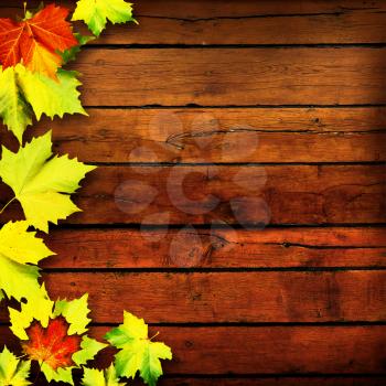 Leaves. Abstract autumn backgrounds for your design